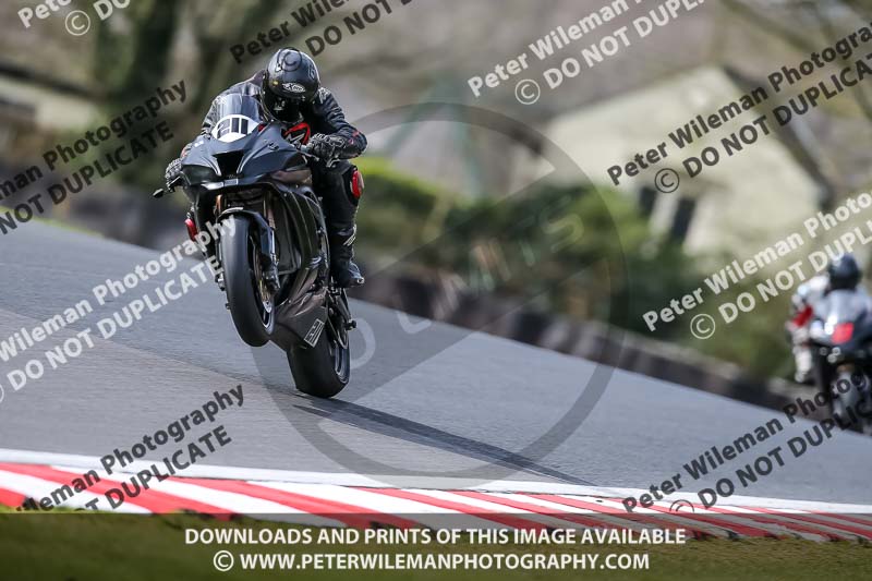 Oulton Park 21st March 2020;PJ Motorsport Photography 2020;anglesey;brands hatch;cadwell park;croft;donington park;enduro digital images;event digital images;eventdigitalimages;mallory;no limits;oulton park;peter wileman photography;racing digital images;silverstone;snetterton;trackday digital images;trackday photos;vmcc banbury run;welsh 2 day enduro